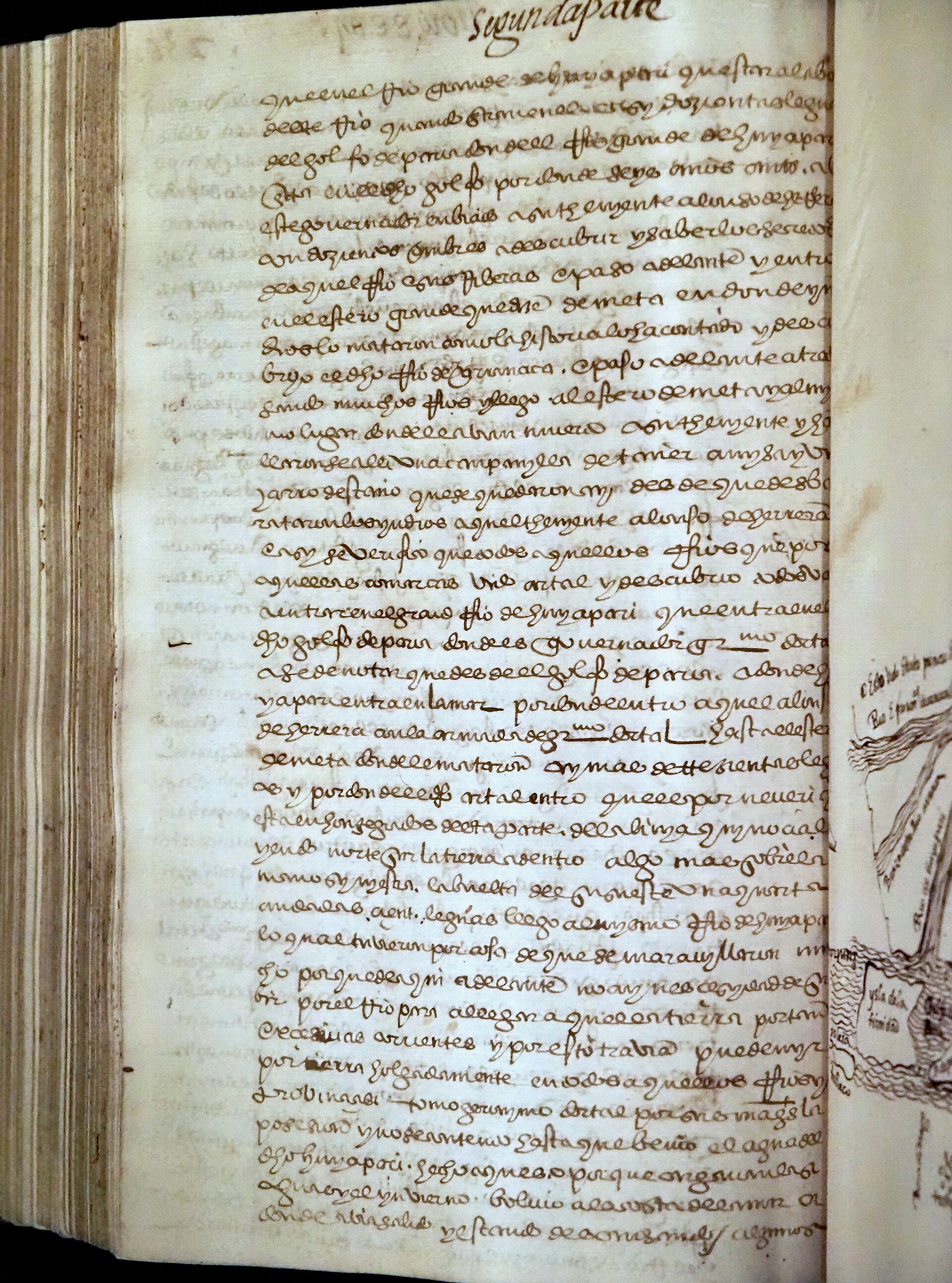 Las colecciones de historia natural clasificadas en vitrinas