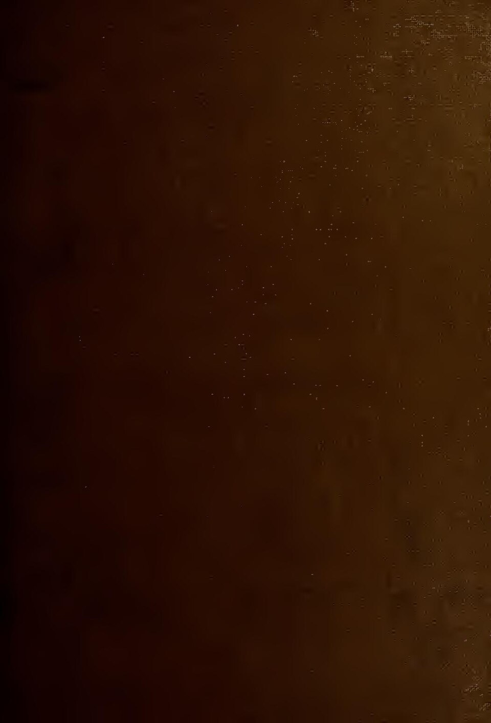 Diccionario histórico: canónigo