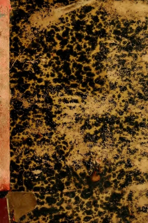 Recetario histórico: pasteles salados de tradición Cataluña