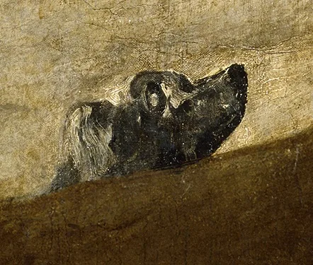 El perro